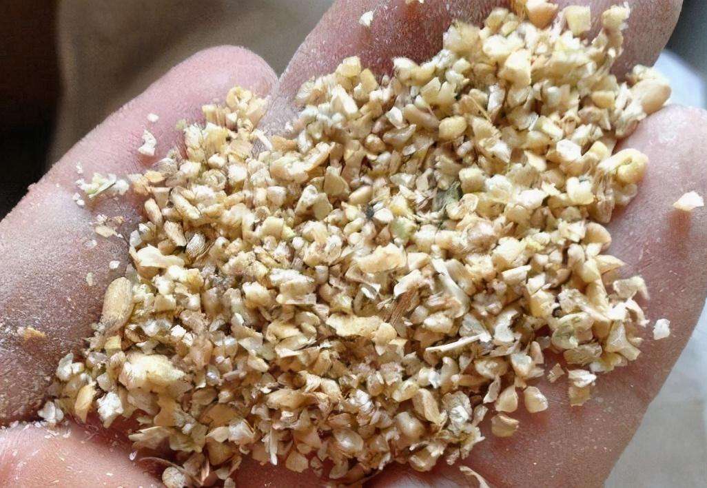 做精釀啤酒，如何更好地進行麥芽粉碎呢？