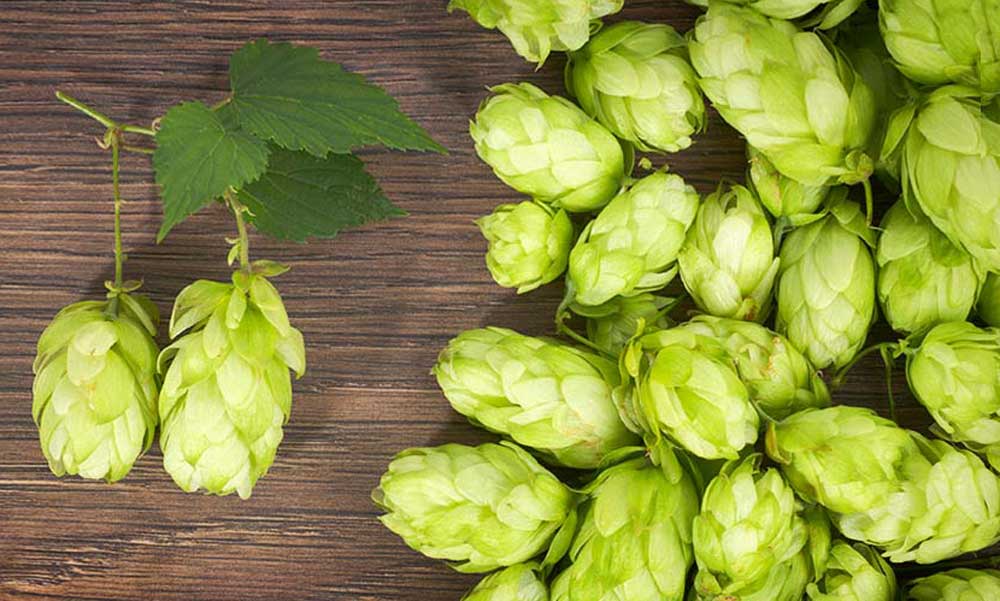 開精釀啤酒廠容易嗎？