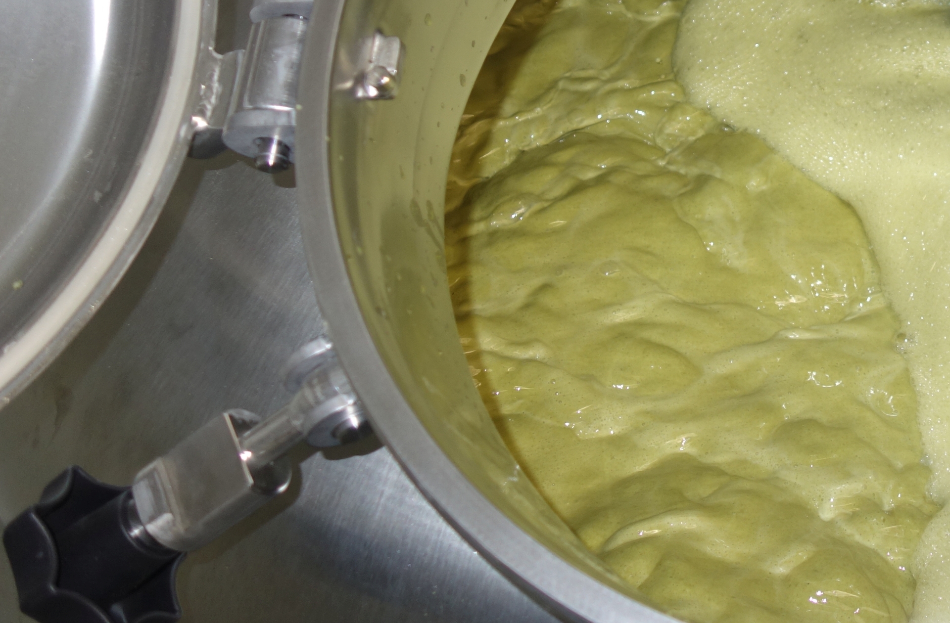 為什么要煮沸麥汁？