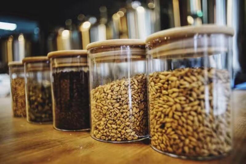 哪些種類的麥芽適合做精釀啤酒呢？